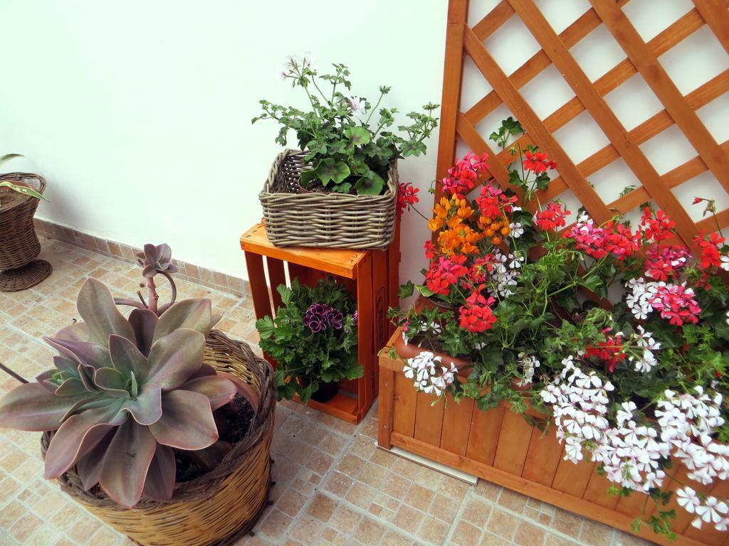 B&B Il Geranio Calimera  Buitenkant foto