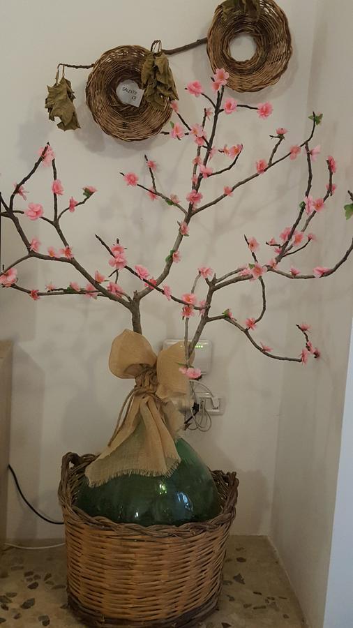B&B Il Geranio Calimera  Buitenkant foto
